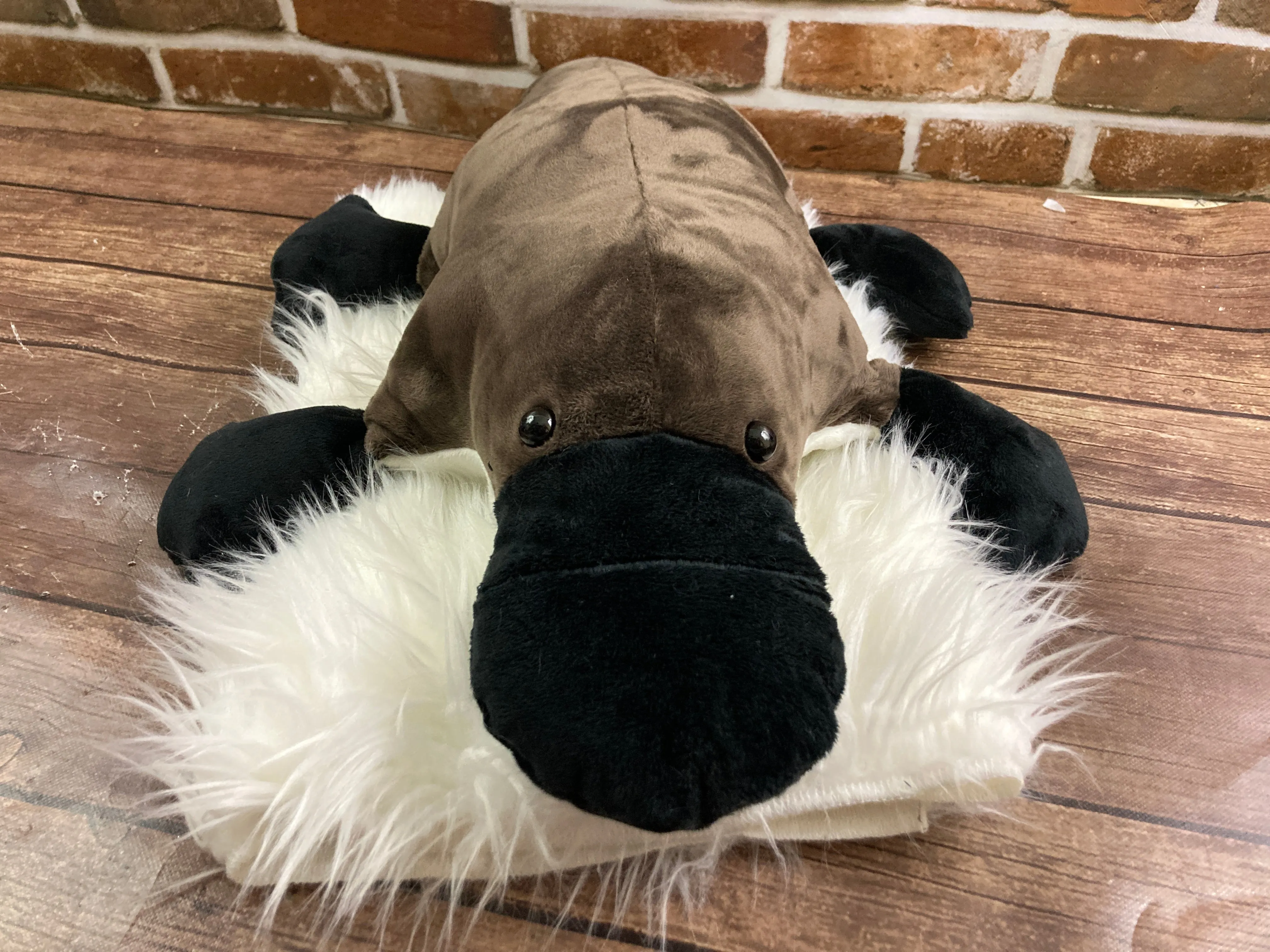 2lbs -15lbs Weighted  Platypus Stuffed Minky Animal Lap Pad -for Comfort, Special Needs, Sleep, Anxiety and Stress Relief - Custom Made