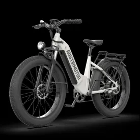 AOSTIRMOTOR|Queen 52V 1000W All Terrain Step Thru Electric Bike