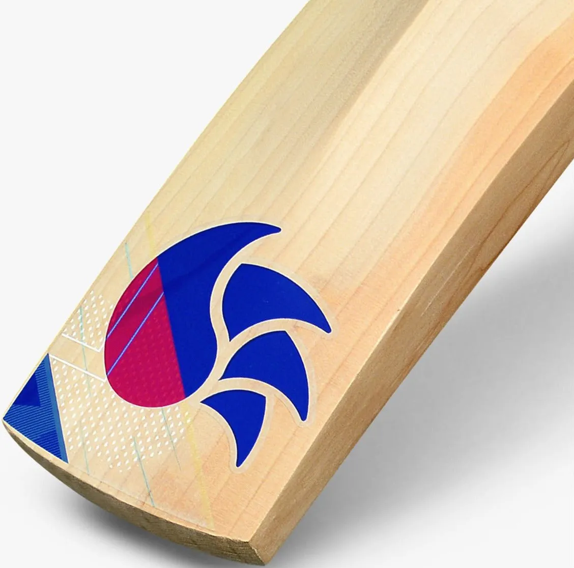 DSC Intense Shoc Cricket Bat