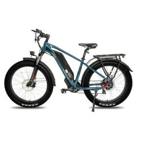 DWMEIGI Pegasus 48V/16Ah 750W Fat Tire Electric Bike