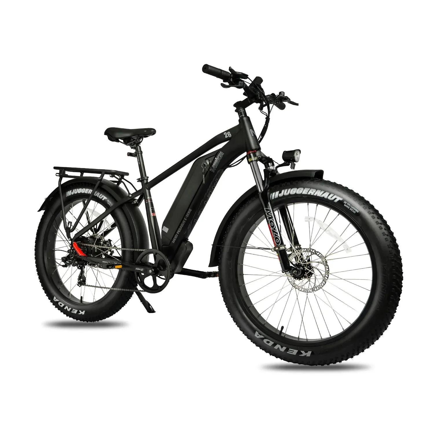 DWMEIGI Pegasus 48V/16Ah 750W Fat Tire Electric Bike