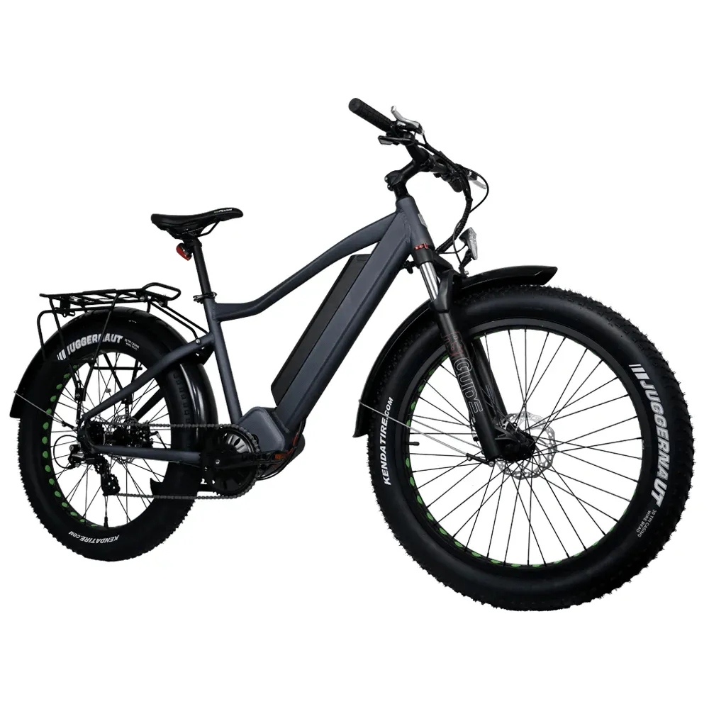 Eunorau Fat-HD 48V/15.6Ah 1000W Fat Tire Electric Mountain Bike