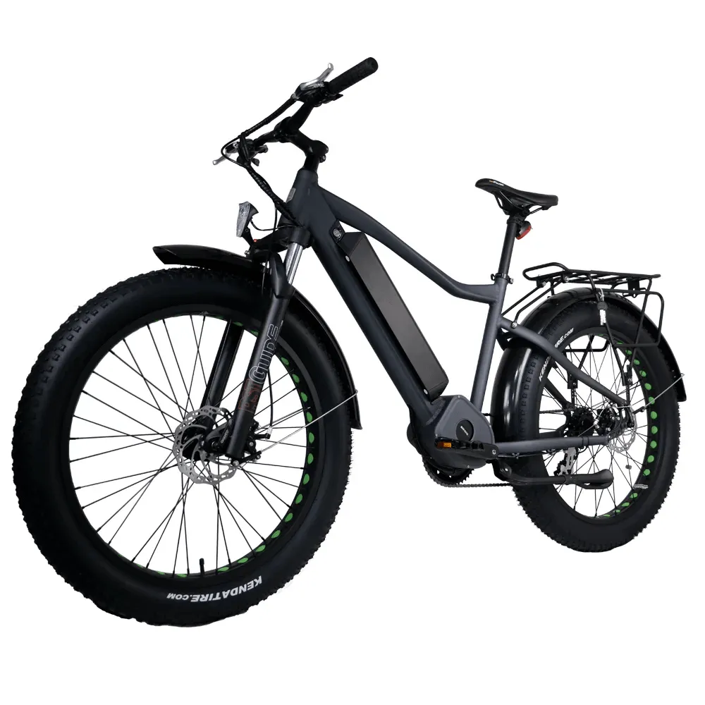 Eunorau Fat-HD 48V/15.6Ah 1000W Fat Tire Electric Mountain Bike