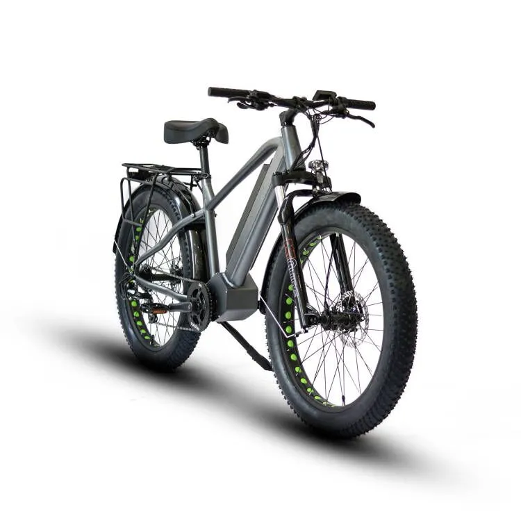 Eunorau Fat-HD 48V/15.6Ah 1000W Fat Tire Electric Mountain Bike