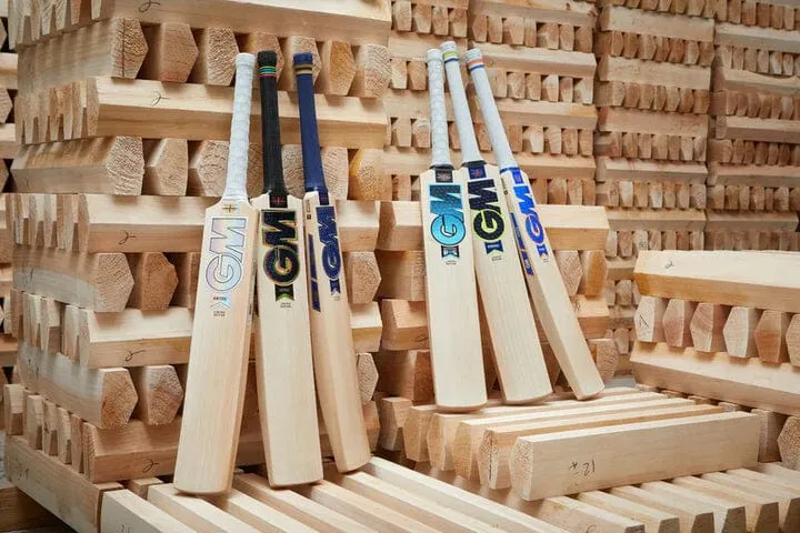 GM Junior Cricket Bat Diamond DXM 606 TTNOW