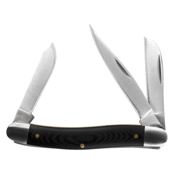 Kershaw 4382 Brandywine