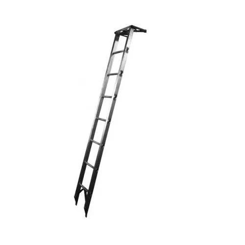 Pruning Ladders