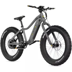 Quietkat Pioneer Electric Bike