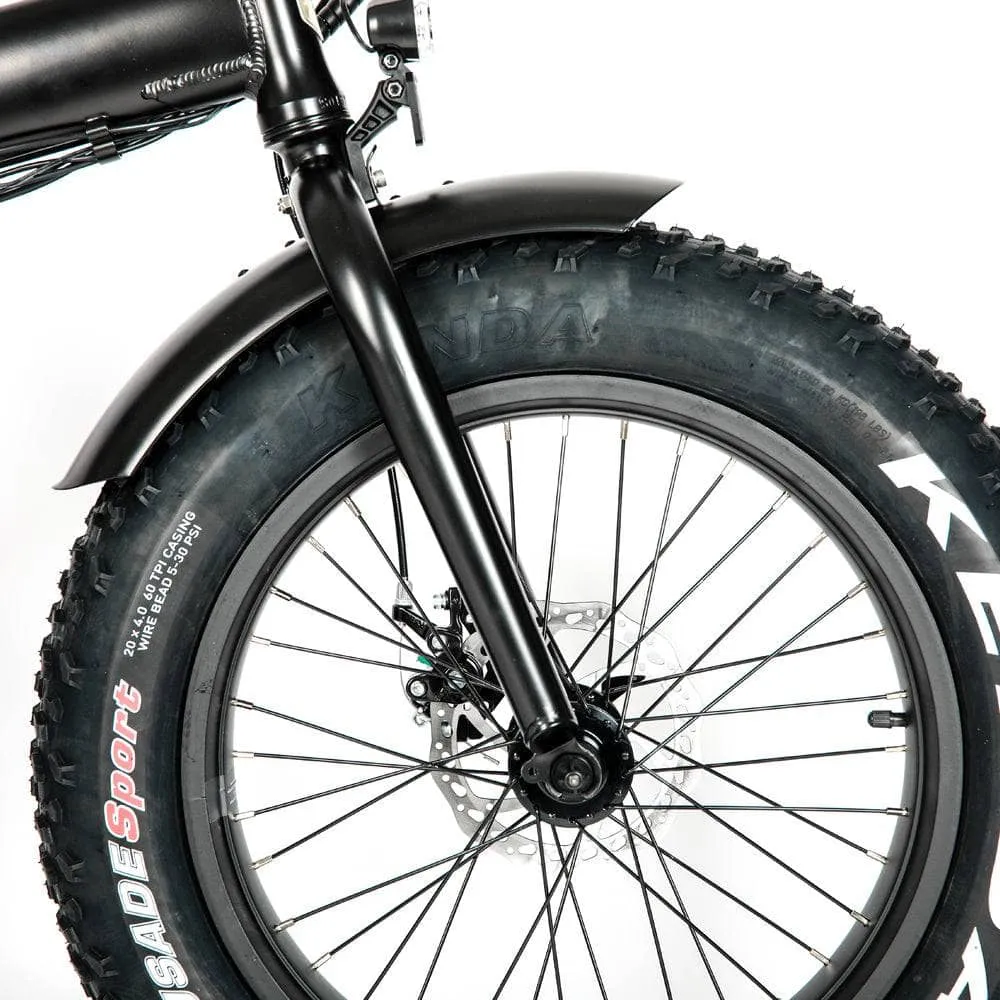 The Eunorau 20" Fat Tire Model E-FAT-MN E-Bike